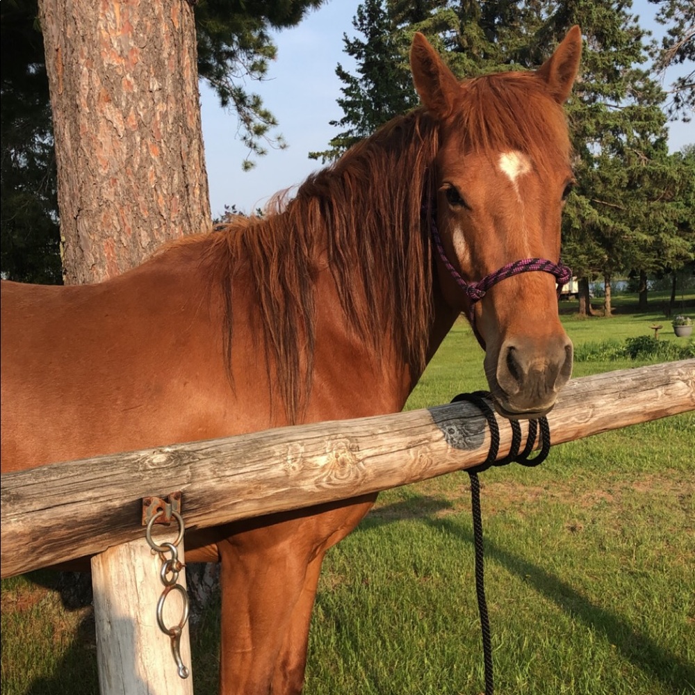 Meet your Posher, Kalie